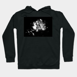 Sunlit Dahlia In Black and White Hoodie